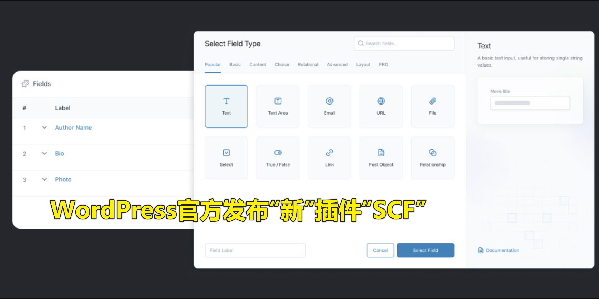 WordPress官方发布“新”插件“SCF”(Secure Custom Fields)